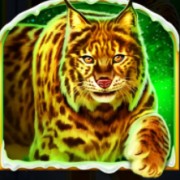 Tigris szimbólum a Fire Blaze Golden: Wolf of Tundra játékban