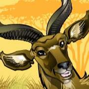 Antilop szimbólum a Mega Money játékban