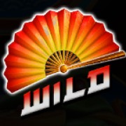 Wild szimbólum a Hot Dragon Hold & Spin játékban